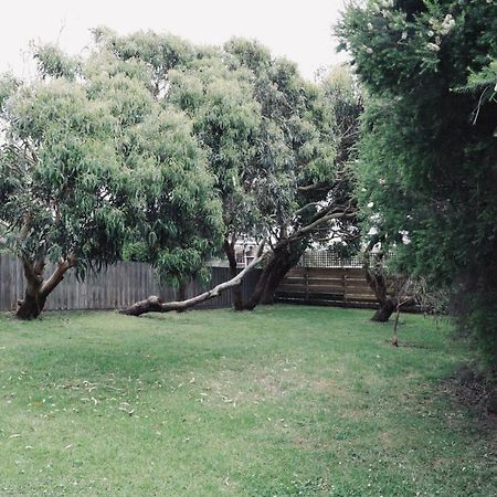 Red ceder cottage - Great ocean road - Port Campbell Exteriör bild